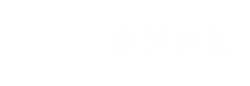 关键词排名优化