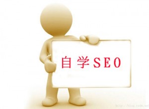 新手seo优化如何从工作中提升自己的能力