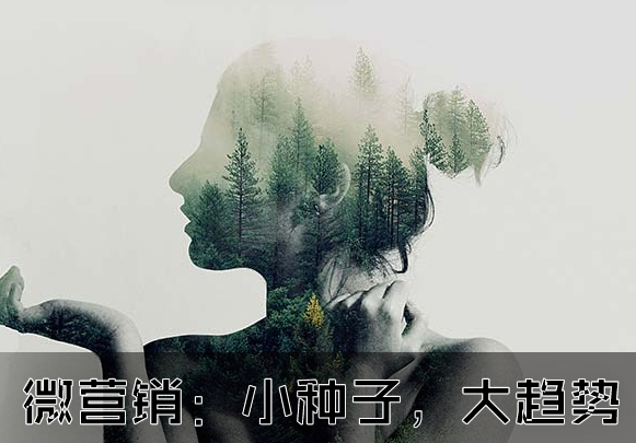 微营销：小种子，大趋势