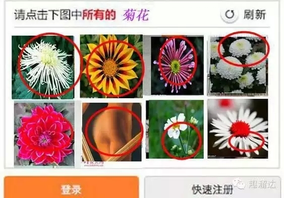 深圳网站设计公司吐槽12306：人类何苦为难人类
