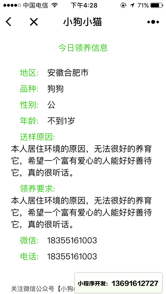 领养小猫小狗小程序截图