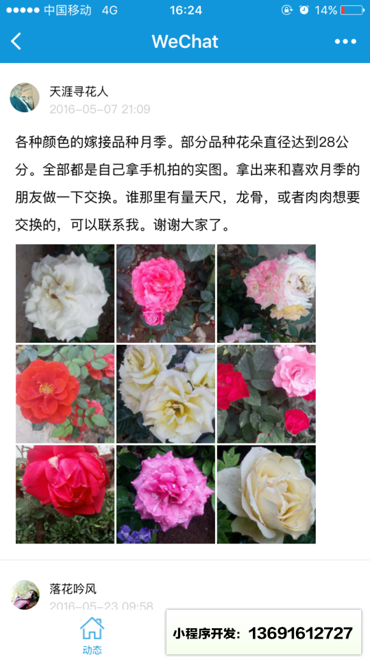 枫桥居花卉小程序截图