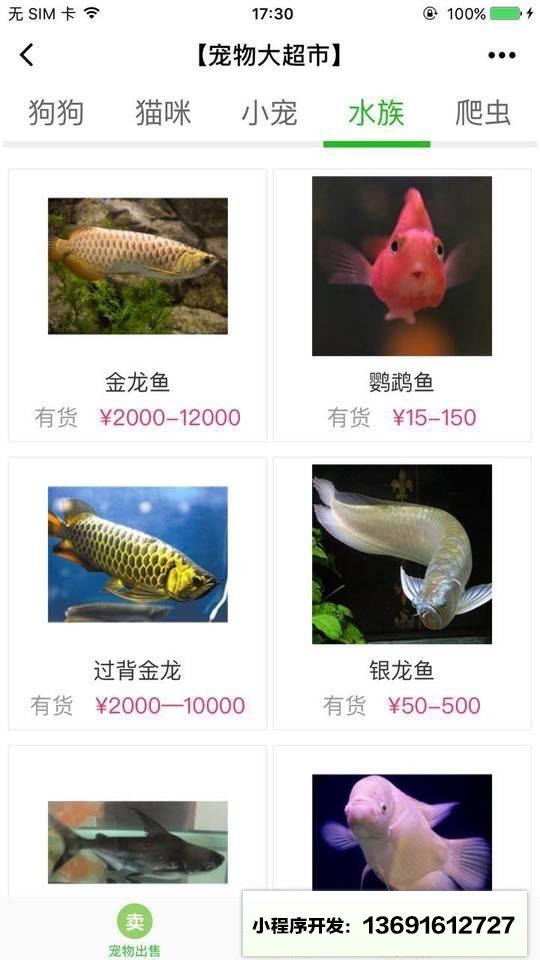 宠物大超市小程序截图