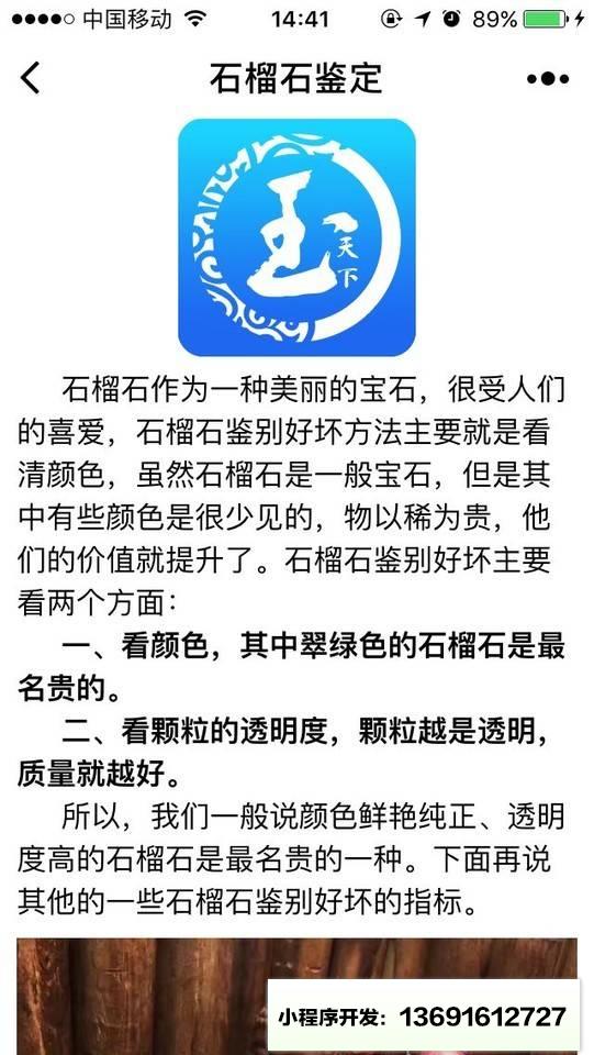 石榴石鉴定小程序截图