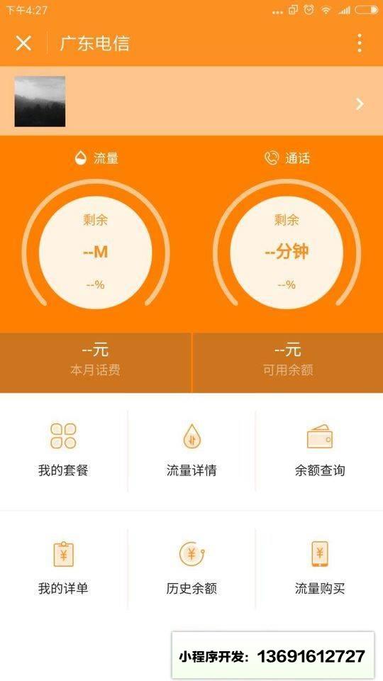 广东电信网上营业厅小程序截图