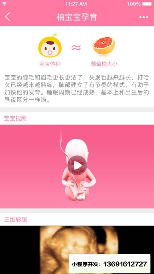 柚宝宝App小程序截图