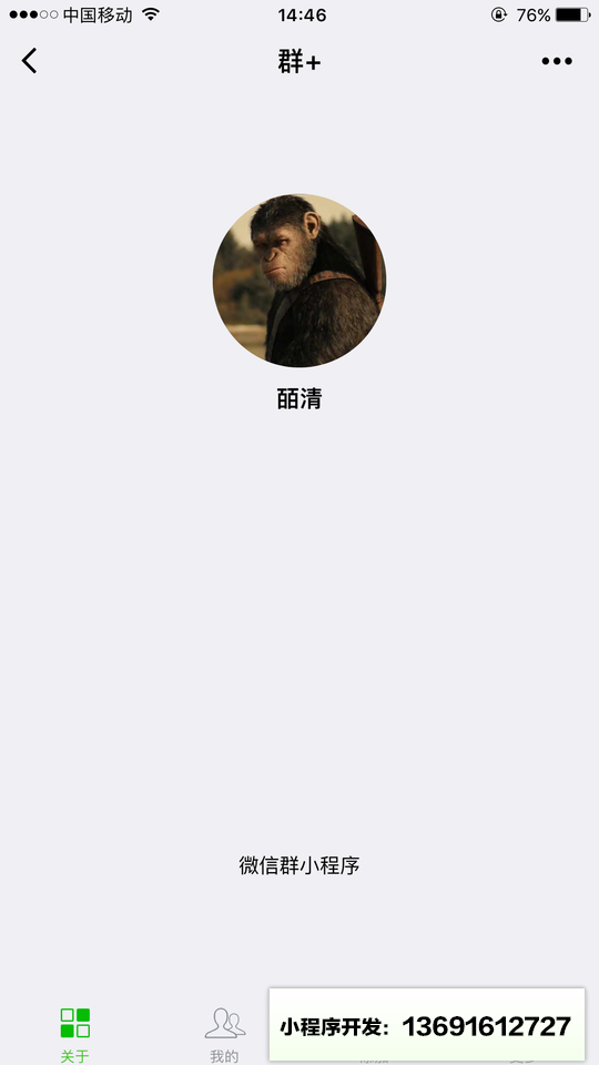 群+小程序截图