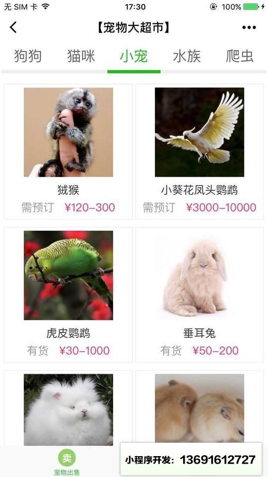 宠物大超市小程序截图