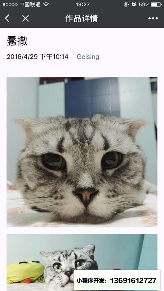 蜂鸟影赛小程序截图