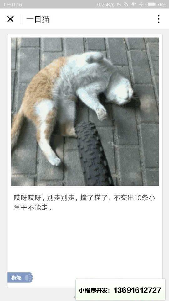 一日猫小卡片小程序截图