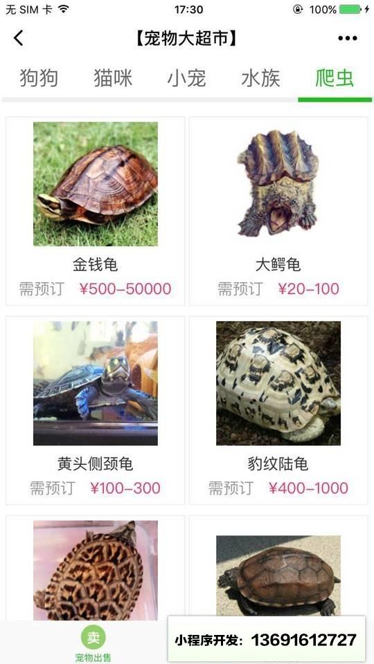 宠物大超市小程序截图