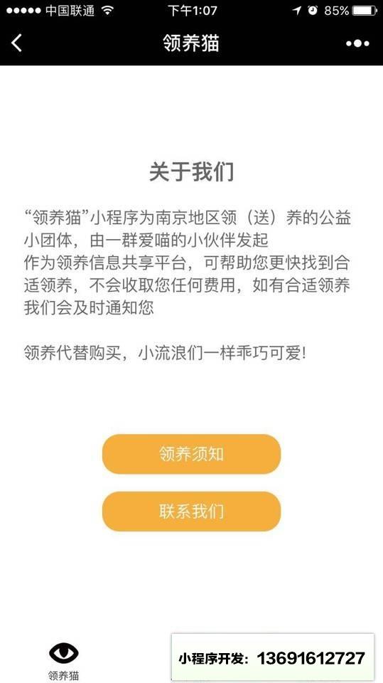 领养猫小程序截图