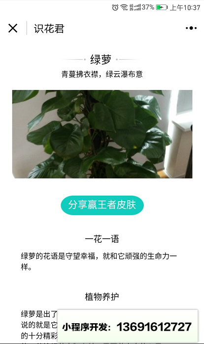 识花君小程序截图