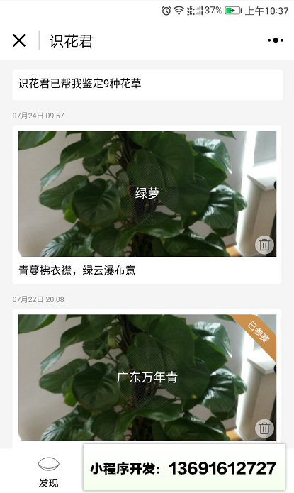 识花君小程序截图