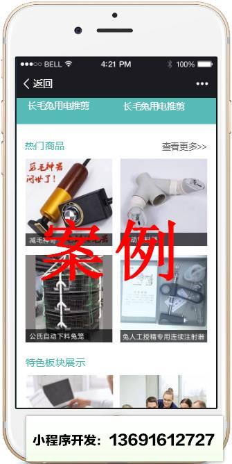 互联网+时代丨开发微程序小程序截图