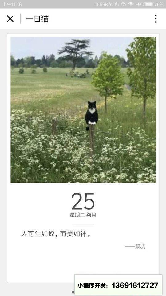 一日猫小卡片小程序截图